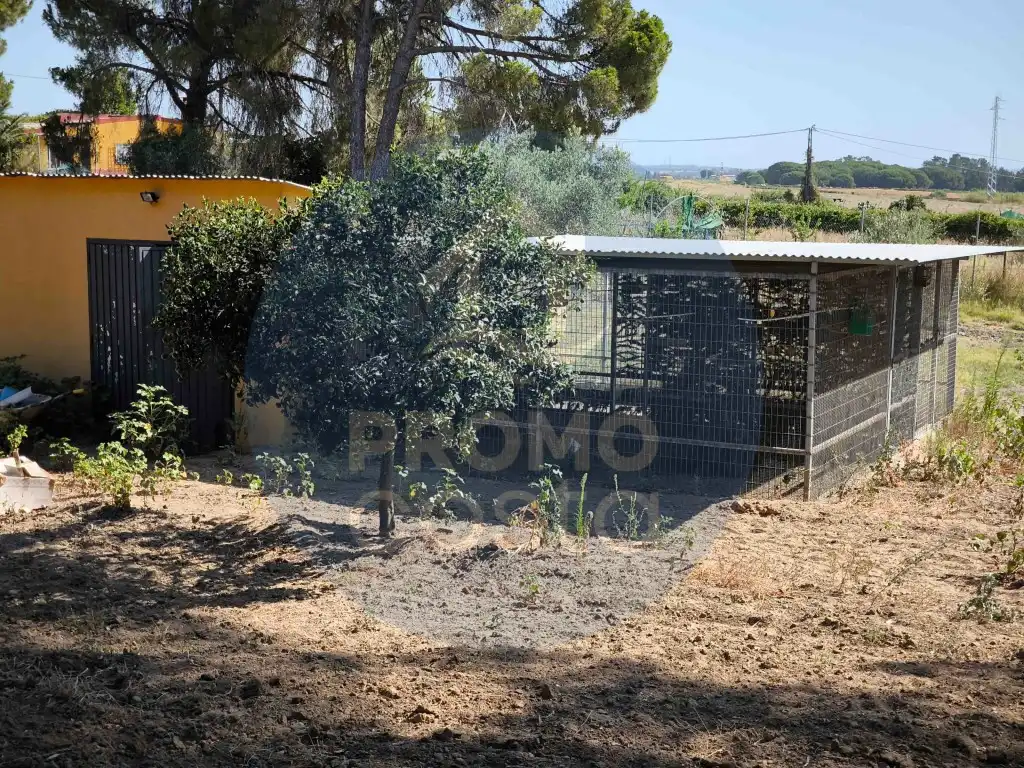 Country homes for sale in Gibraleón, Huelva