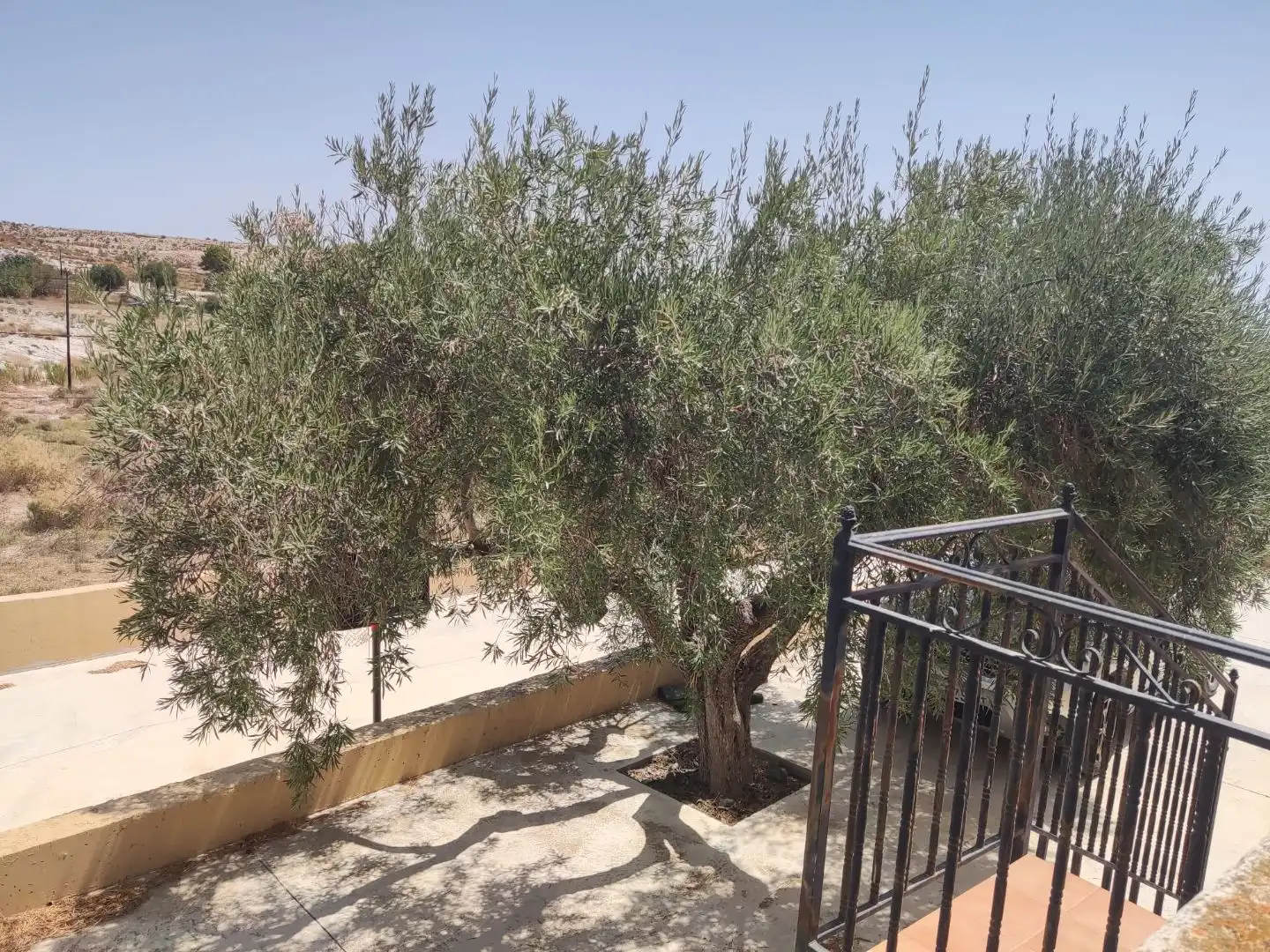Terraza de Casa o chalet en venta en Molina de Segura con Parquet, Terraza y Trastero