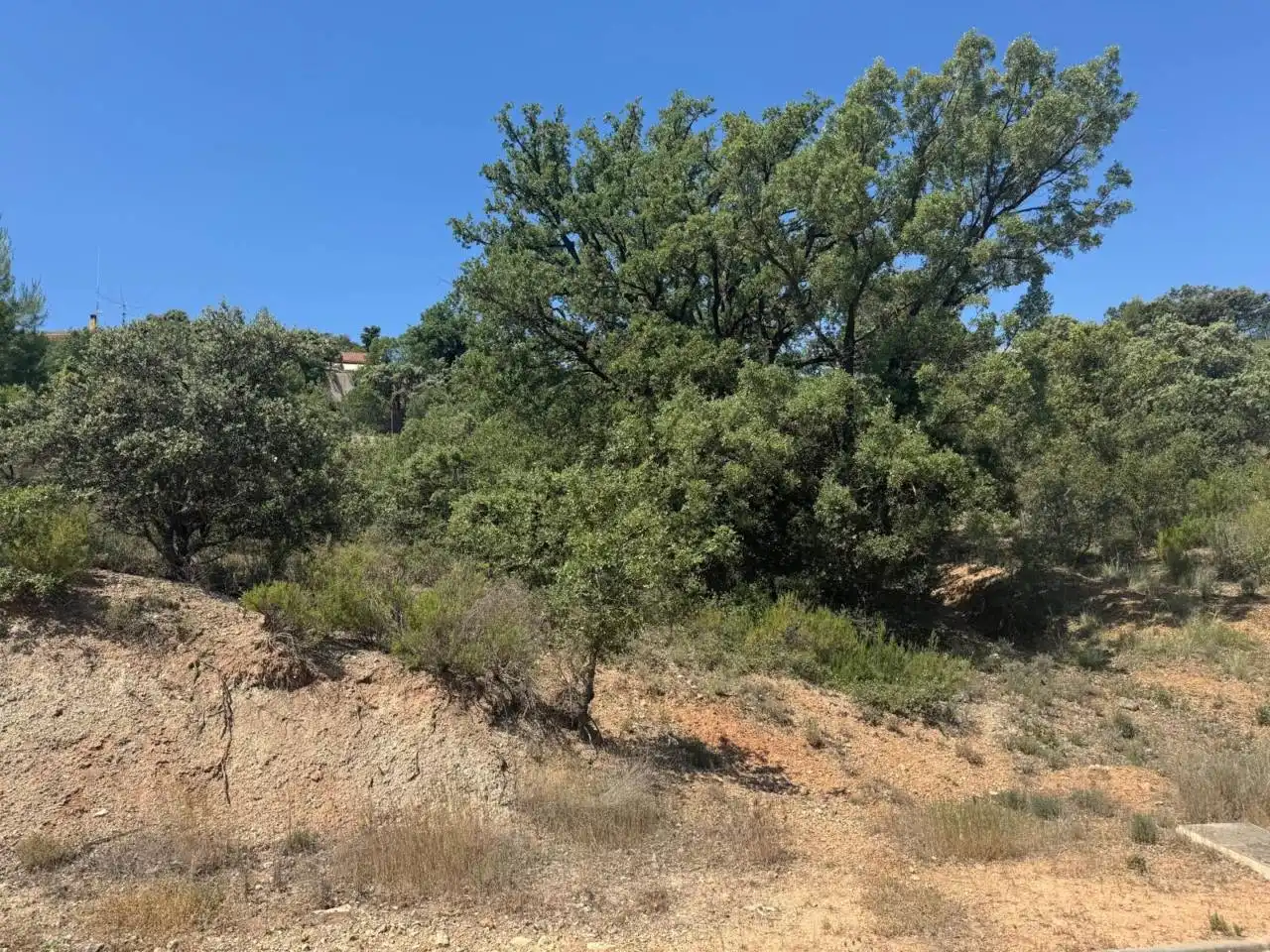 Terrenos y solares en venta en Camino Palmeras, imagen 11