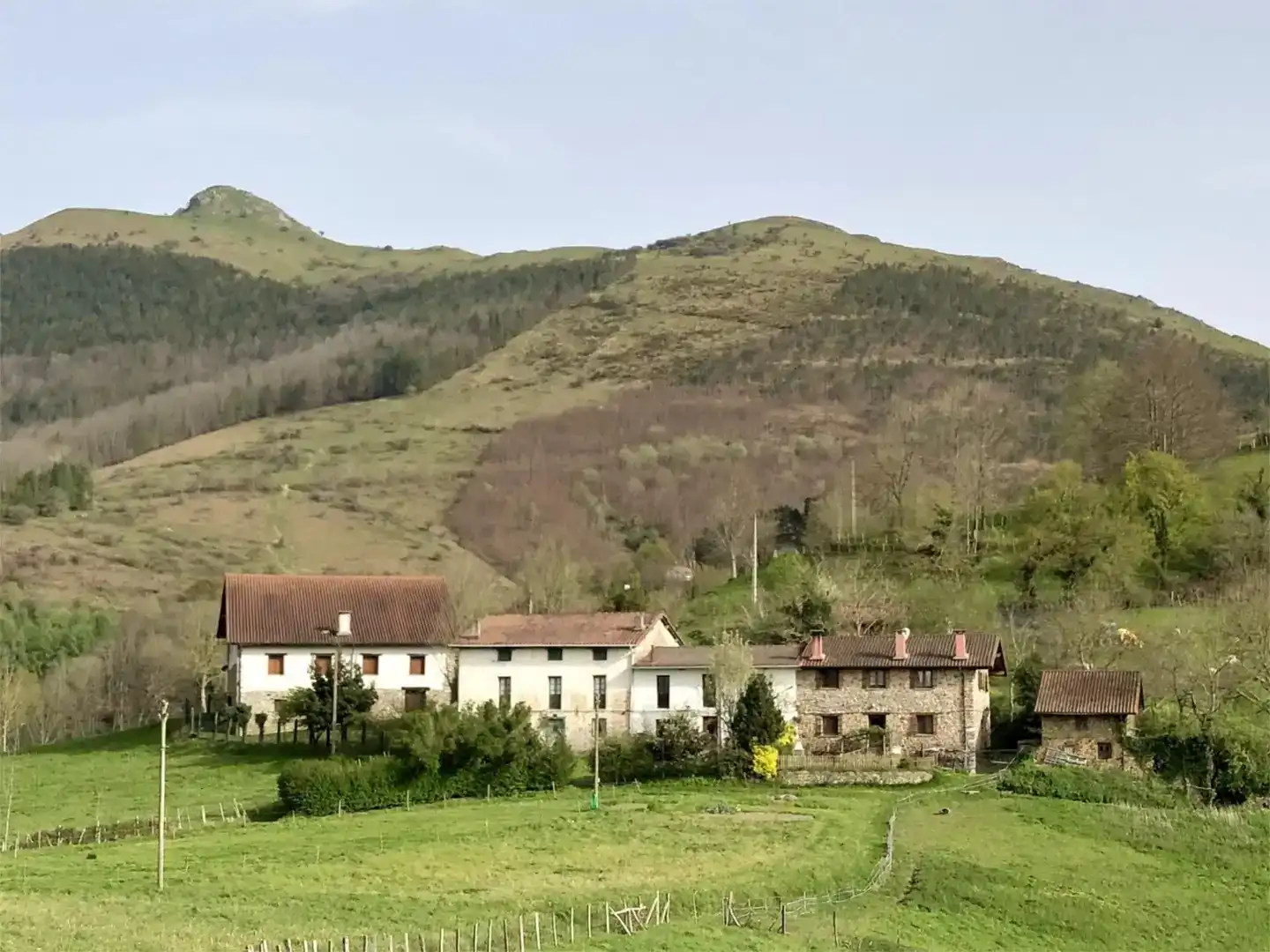 Vista exterior de Finca rústica en venta en Zaldibia