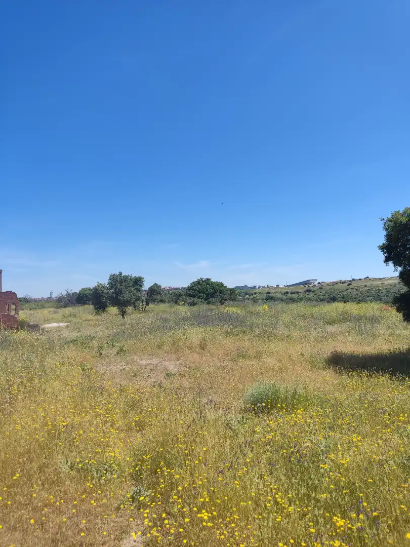 Land for sale in Navalcarnero