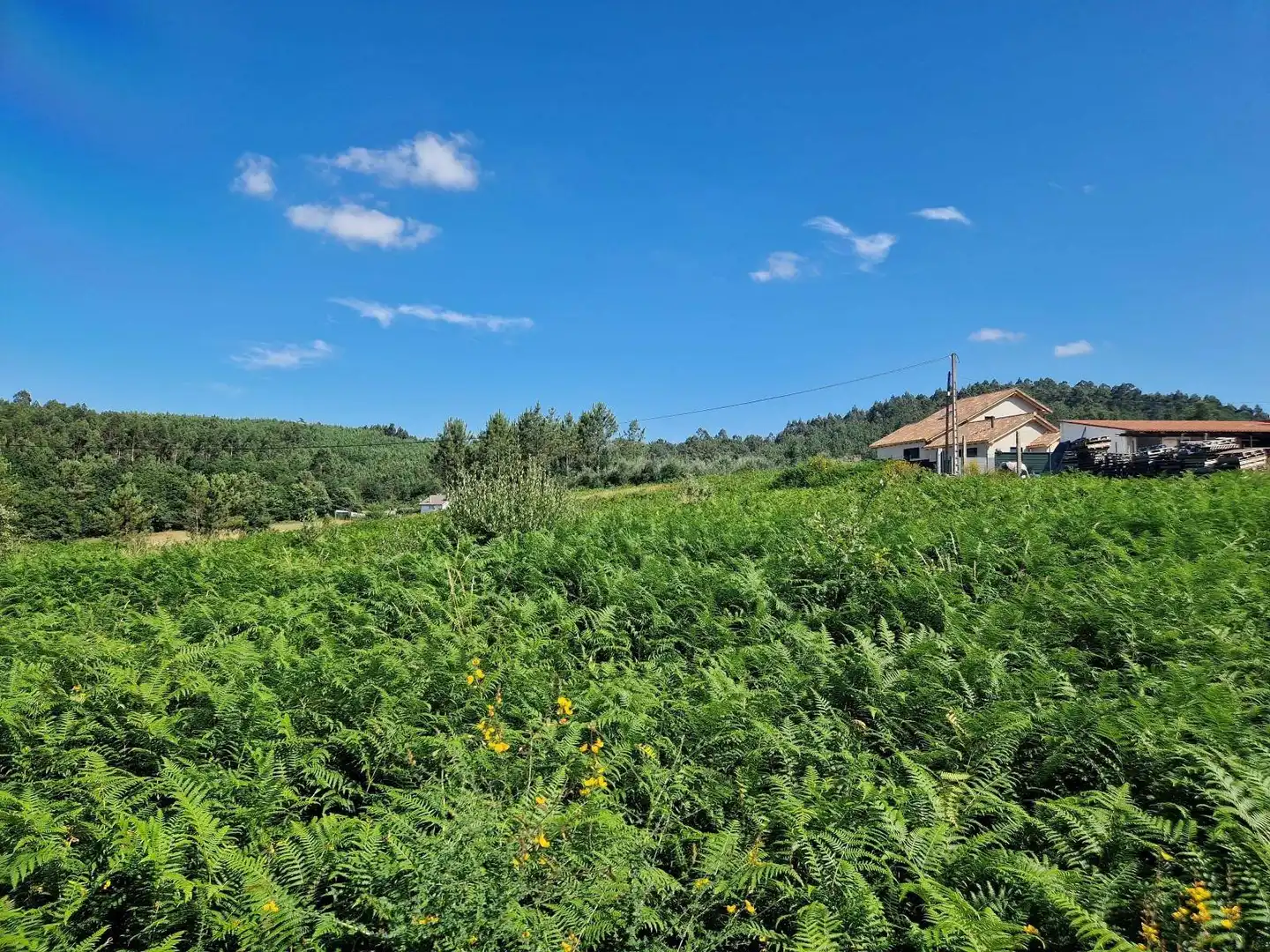 Lands and plots for sale in Brión, imagen 4