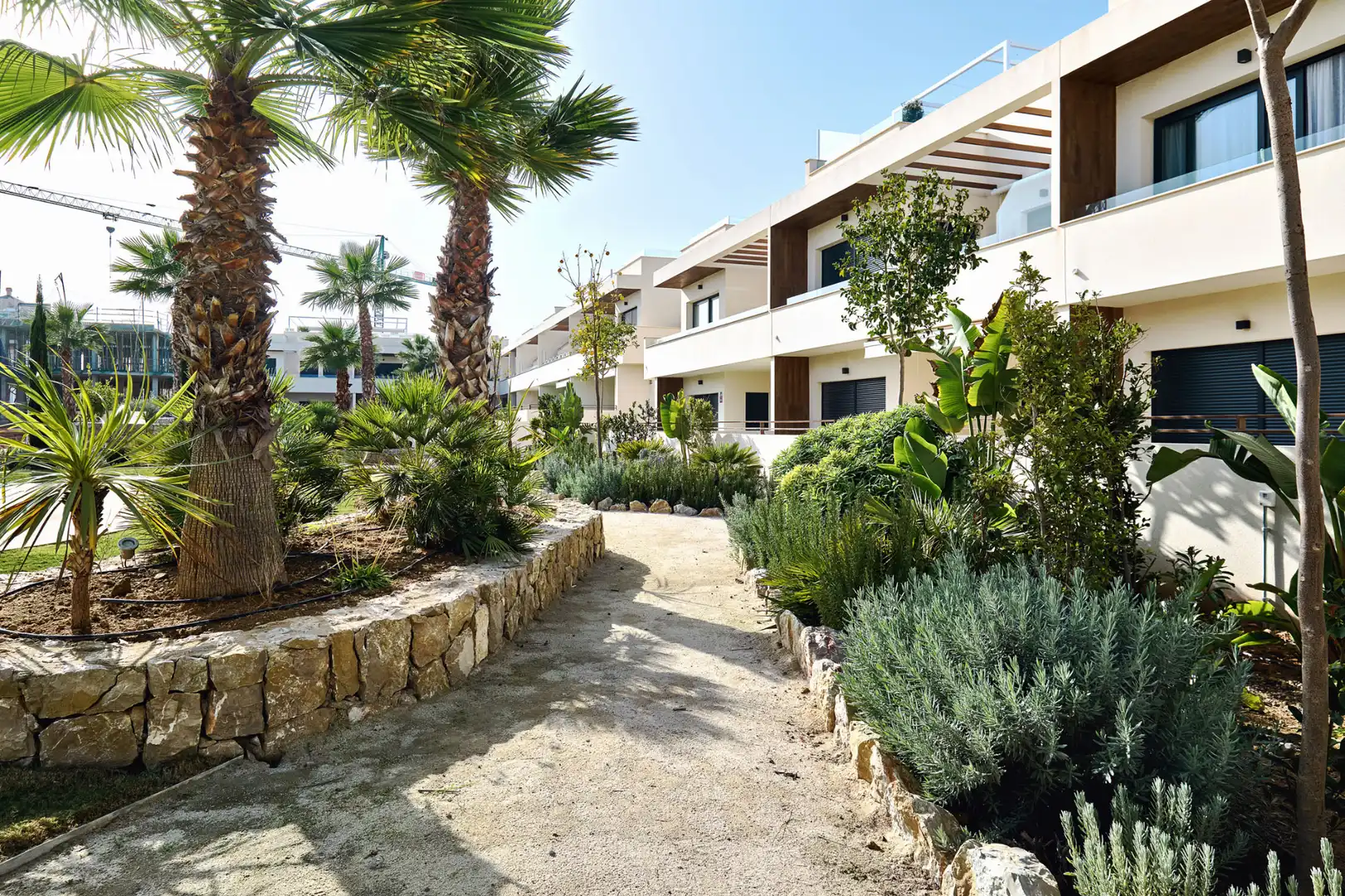 Vista exterior de Pis en venda en Torrevieja amb Jardí privat, Terrassa i Piscina comunitària