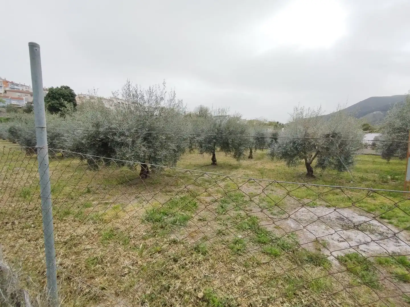 Terreni e lotti in vendita a Carretera Cenes de la Vega, imagen 29
