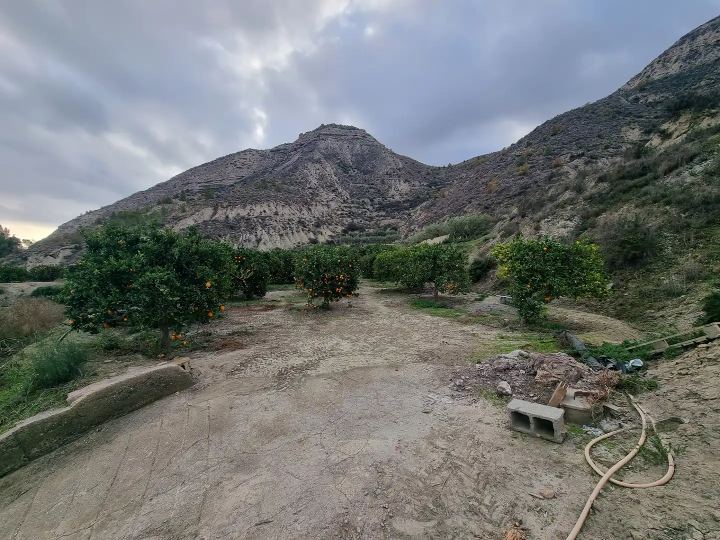 Rural land for sale in Calle Camino Ancho 4, imagen 12