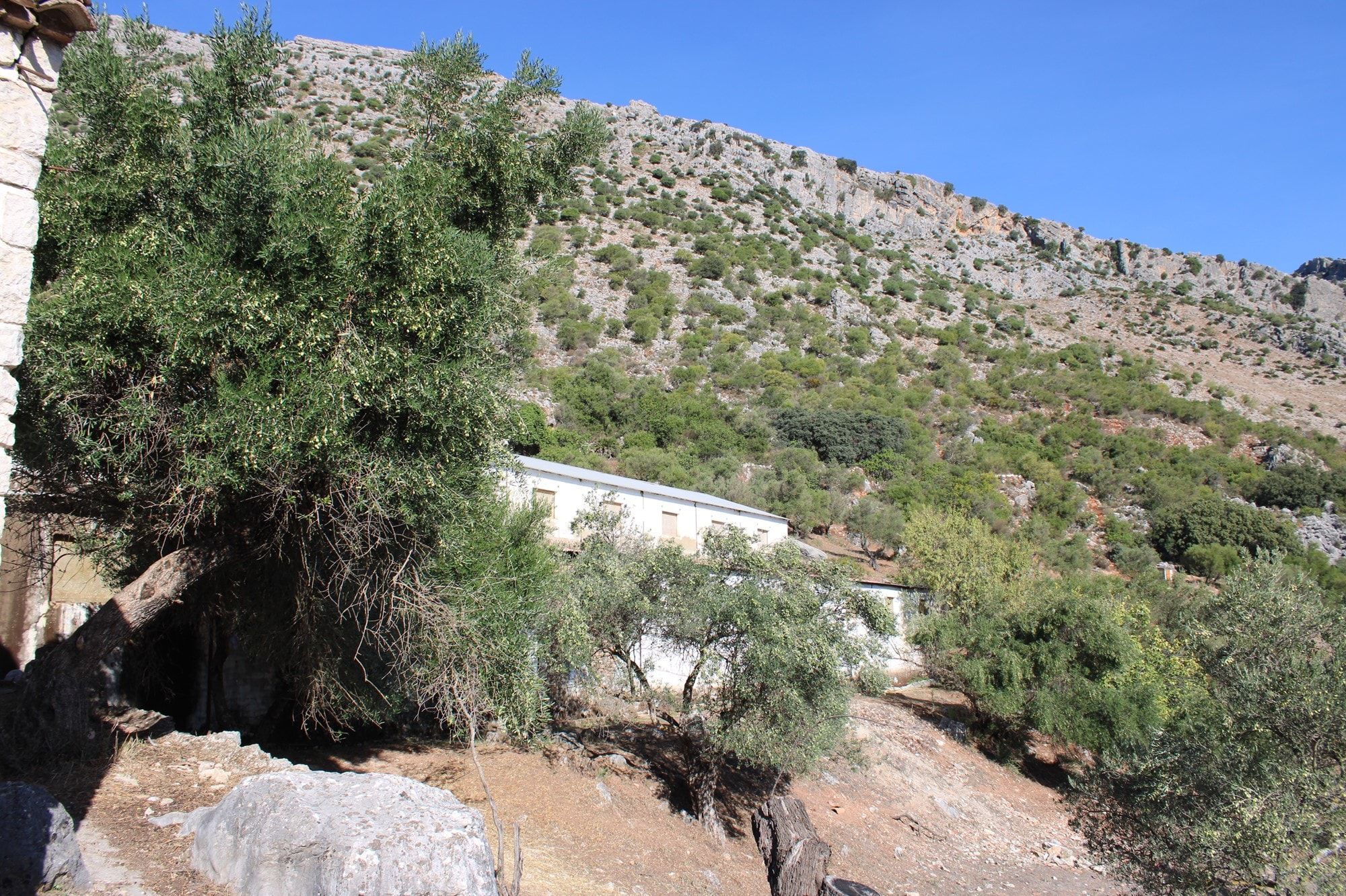 Exterior view of House or chalet for sale in Benaoján