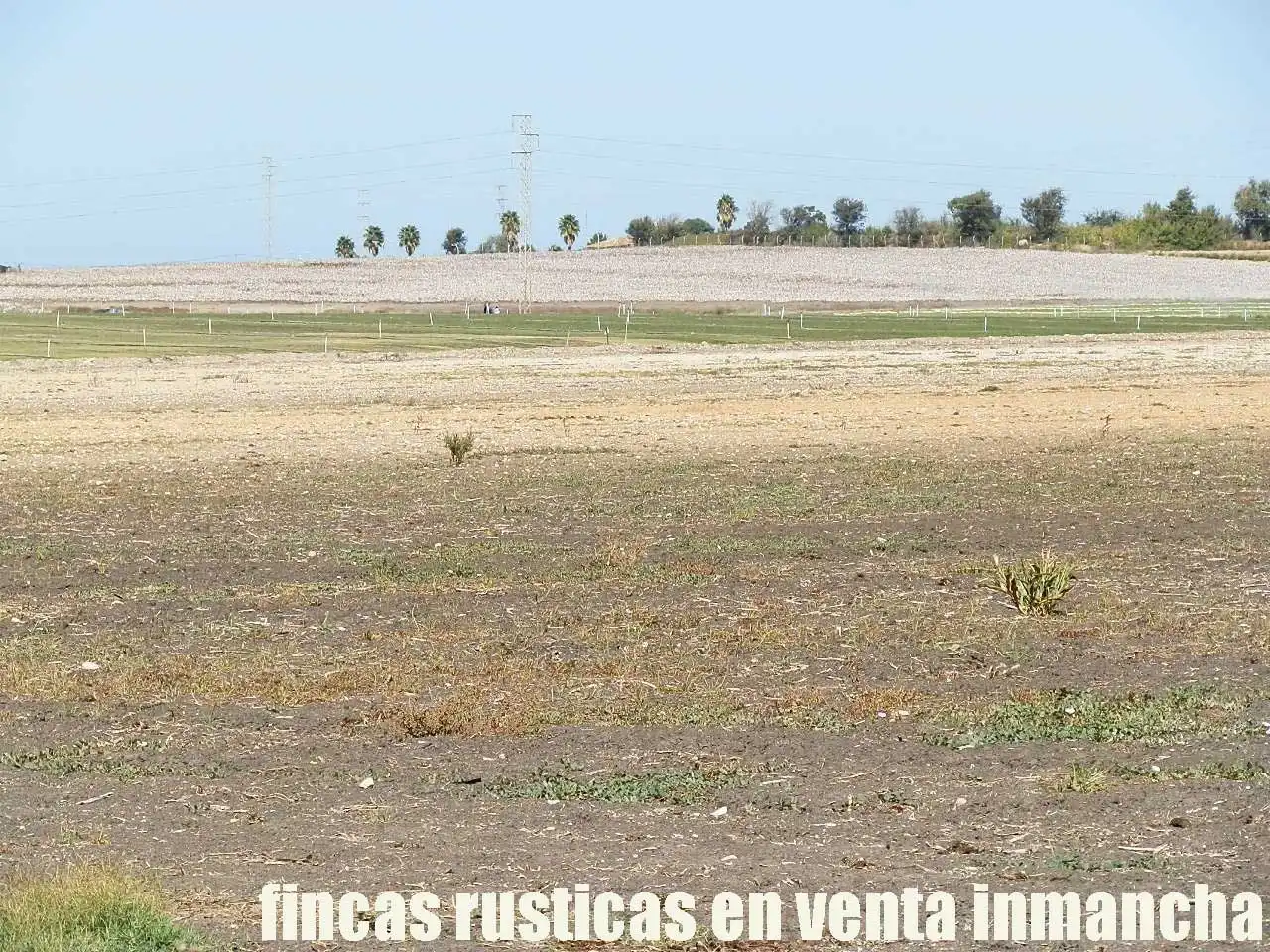 Rural land for sale in Virgen del Mar, imagen 6