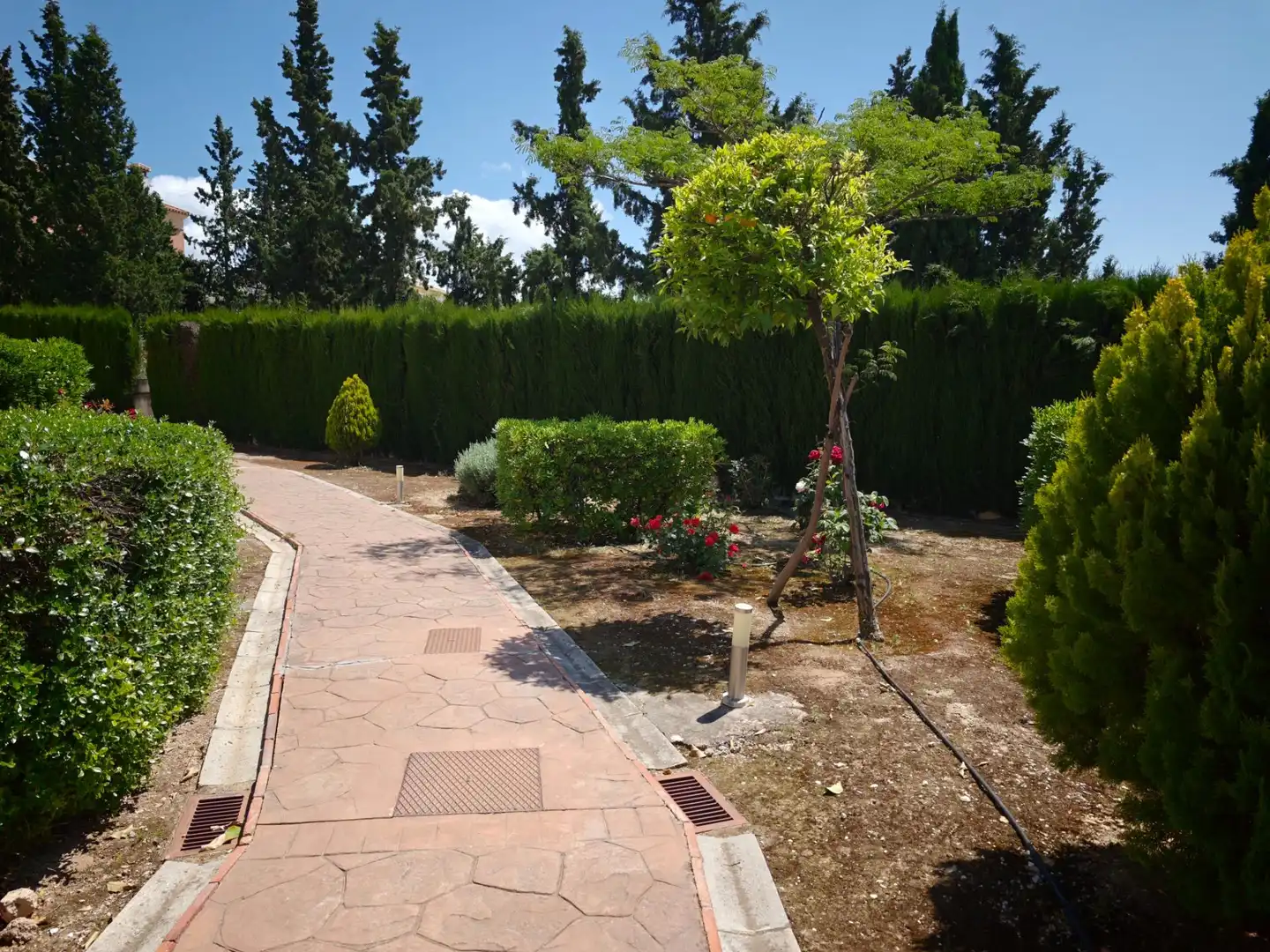 Jardí de Pis en venda en Albolote amb Aire condicionat, Terrassa i Moblat