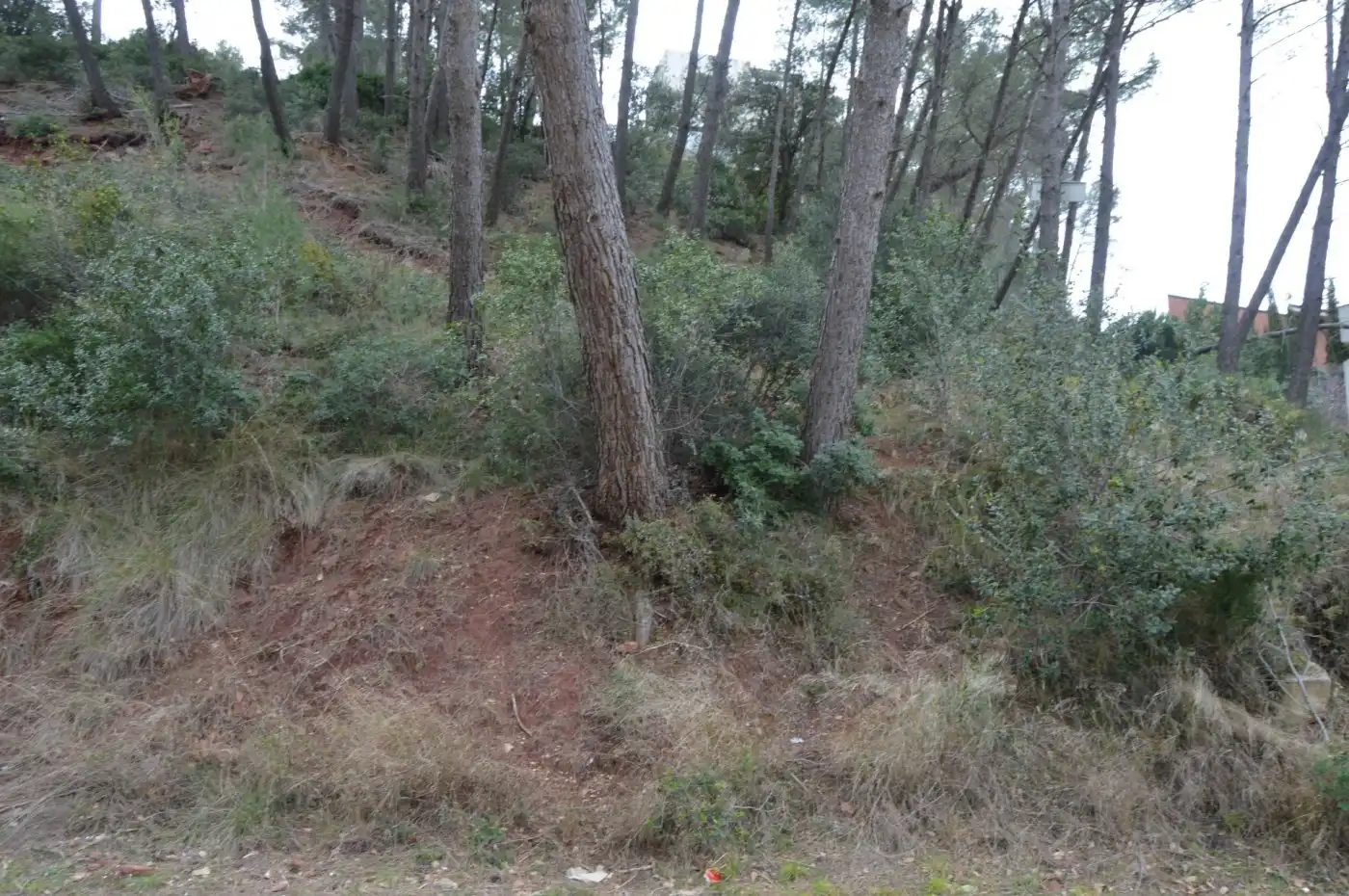 Wohnbaugrundstück zum Verkauf in Corbera de Llobregat, imagen 21