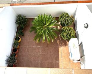 Garden of Flat for sale in Palamós  with Private garden, Terrace and Storage room