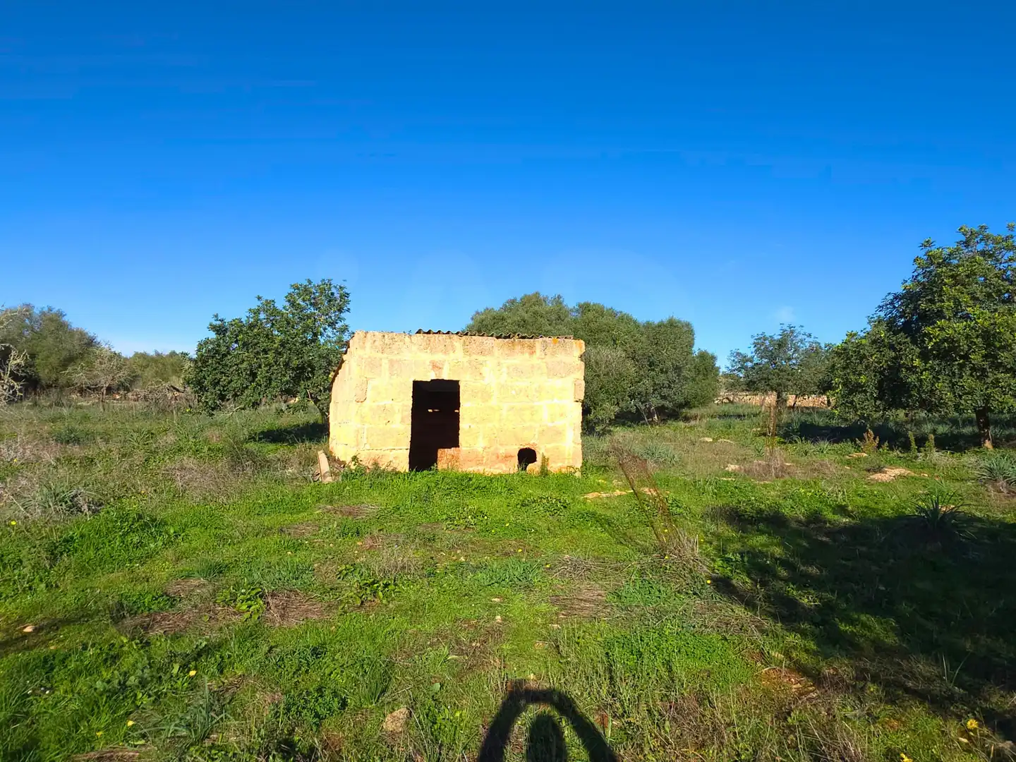 Terreni e lotti in vendita a Santa Margalida Poble, imagen 25