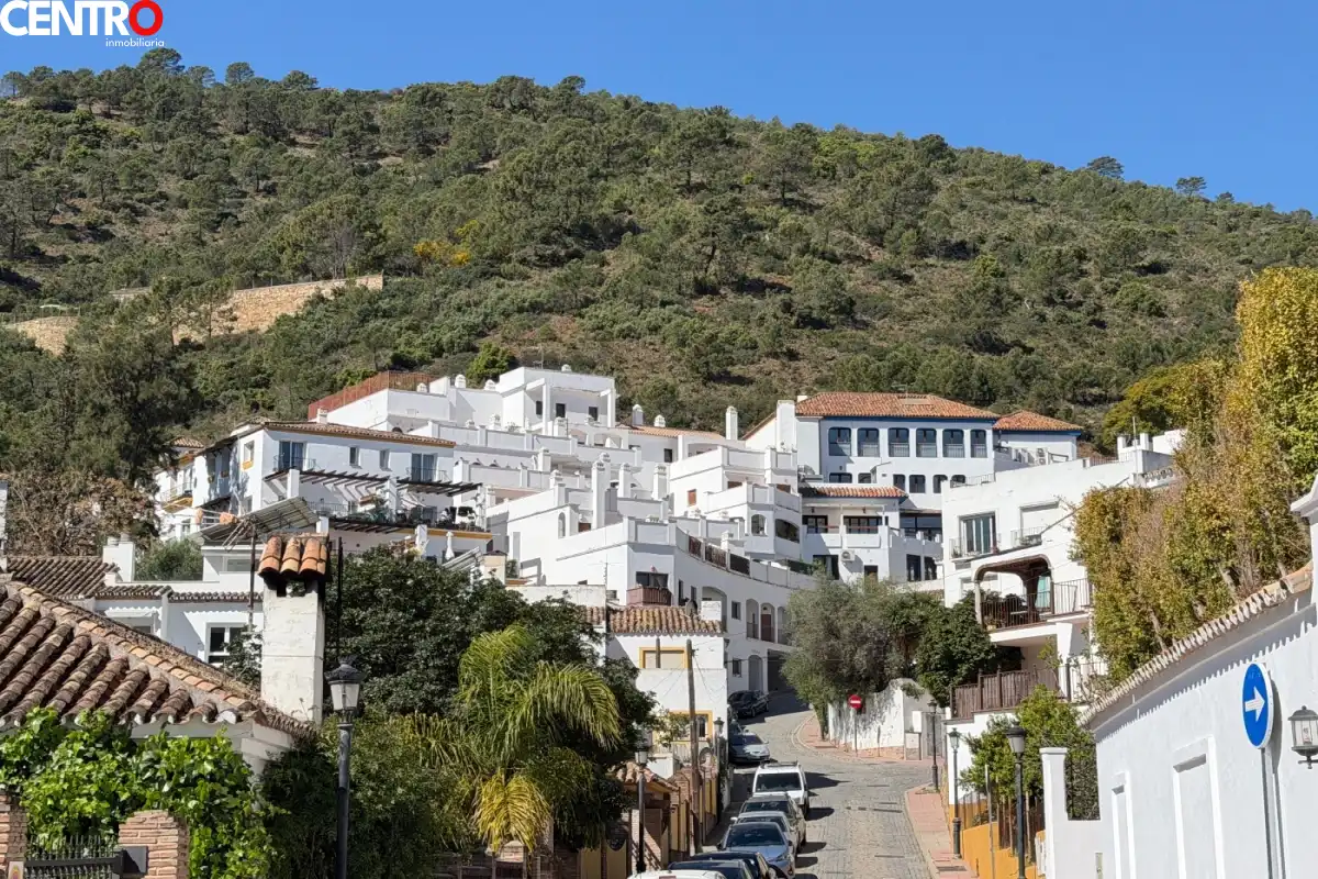 Maisonette mit Pool zum Verkauf in La moraleda, imagen 26