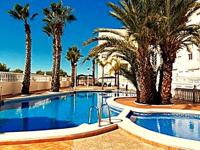 Swimming pool of Flat for sale in Guardamar del Segura  with Terrace and Community pool