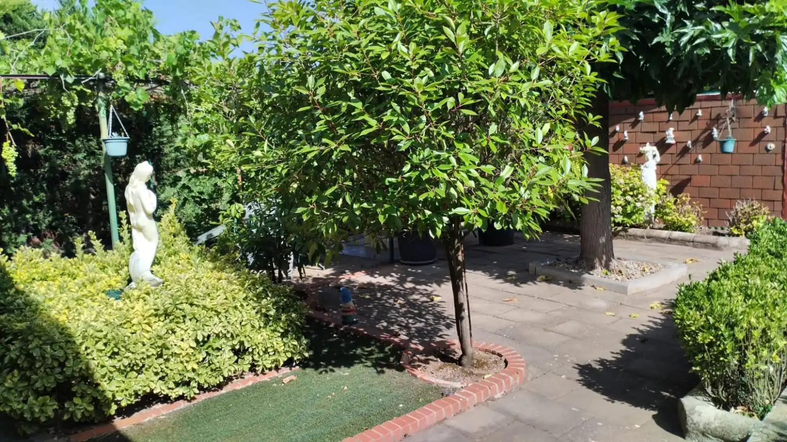 Garten von Grundstücke zum Verkauf in Entrena