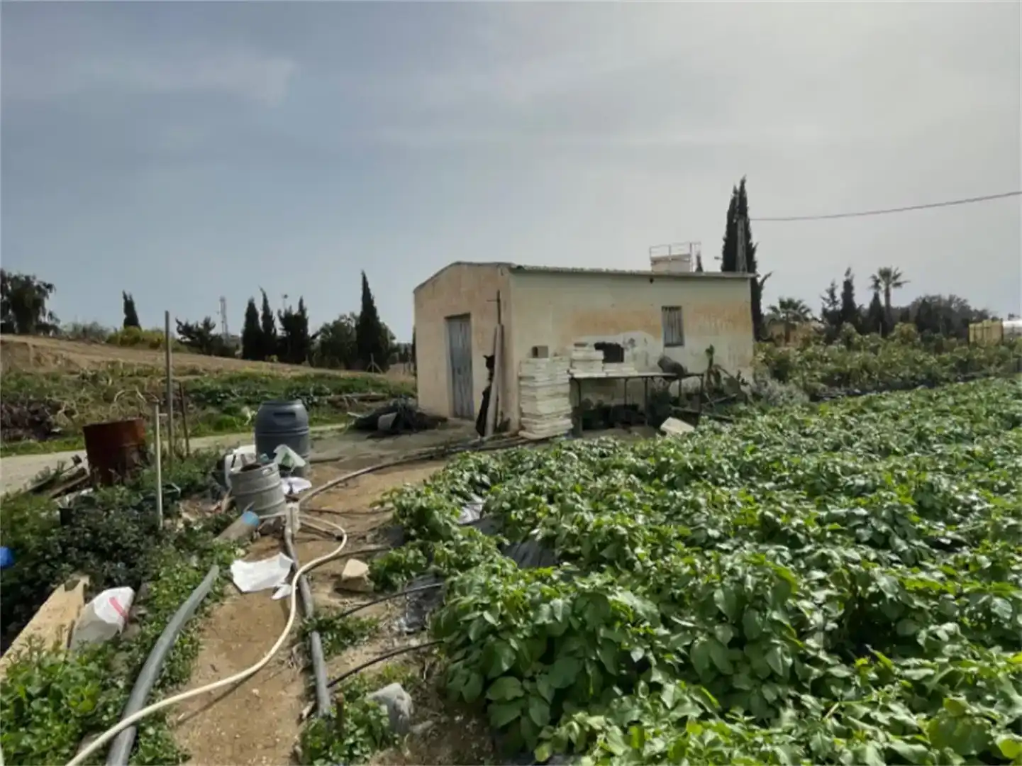 Finca rústica en venda en Algarrobo