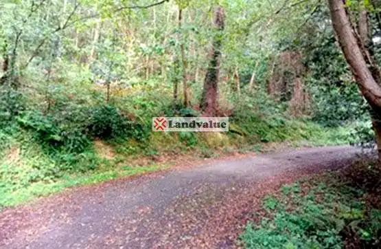 Terreny rústic en venda a Polígono 4 Parcelas 33, 64 y 74, imagen 7