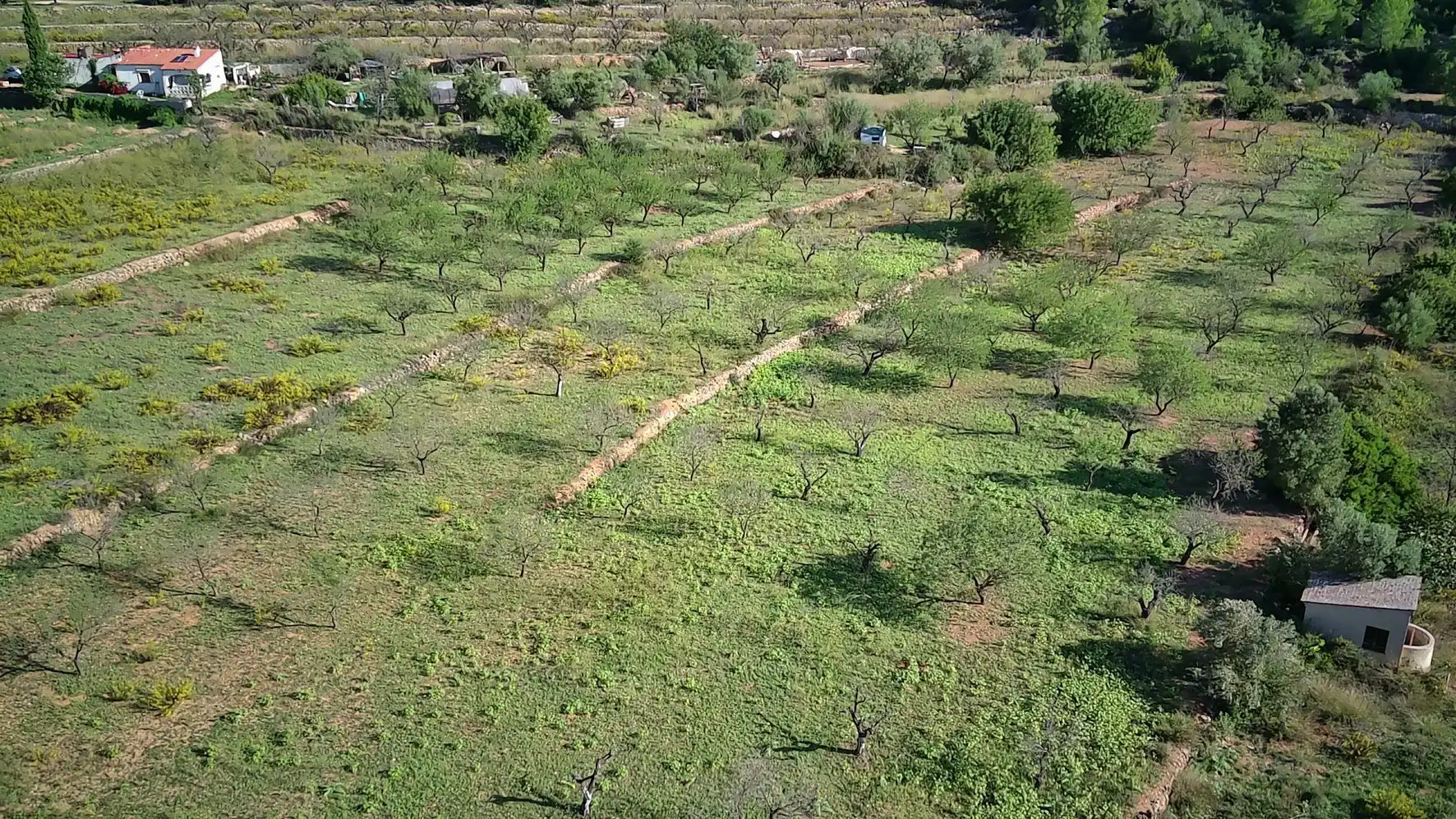 Terrenys i solars en venda a Murla, imagen 2