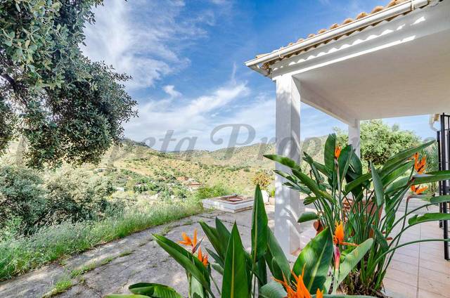 Finca rústica en Venta en Residencial Jardín Botánico
