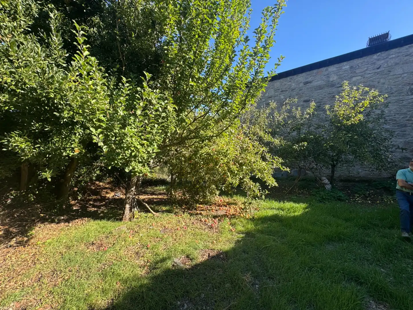 Casa o xalet en venda en Lubián, Zamora