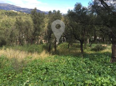 Terreno rustico in vendita a del Suro
