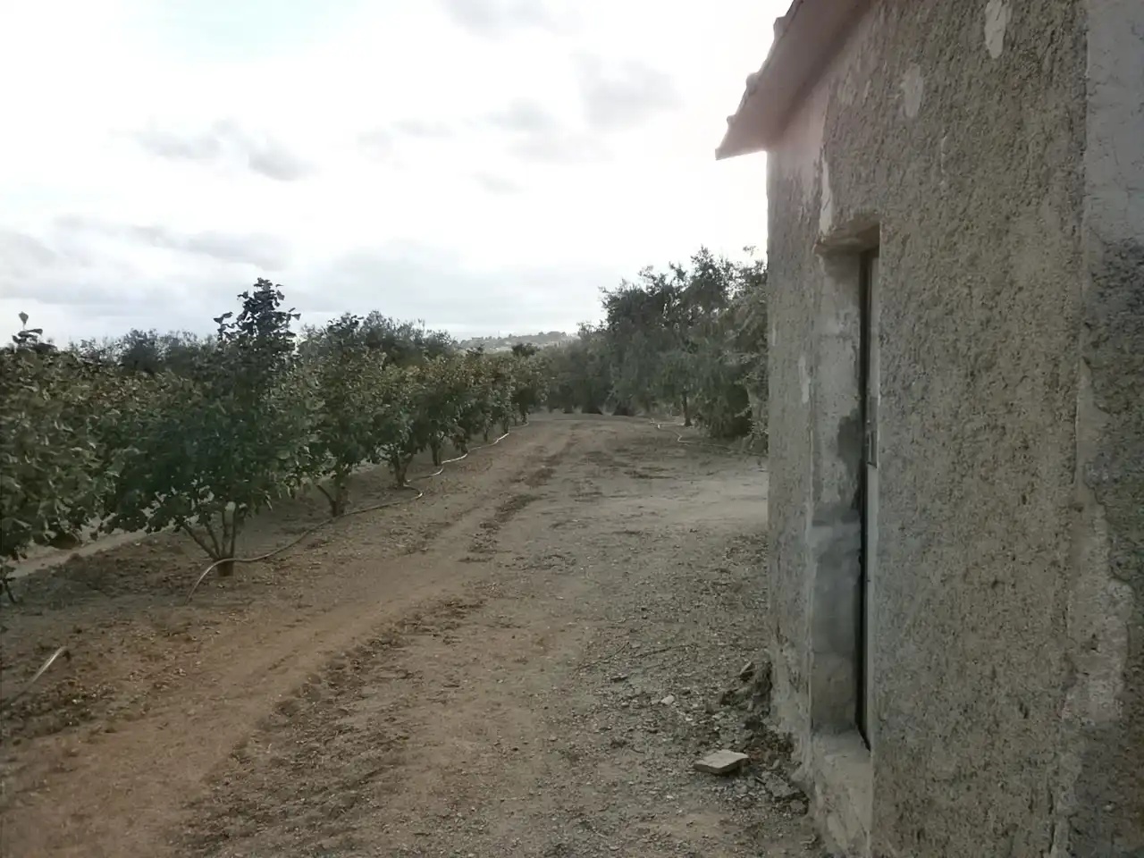 Rural land for sale in Carrer Pont del Cinto, imagen 3