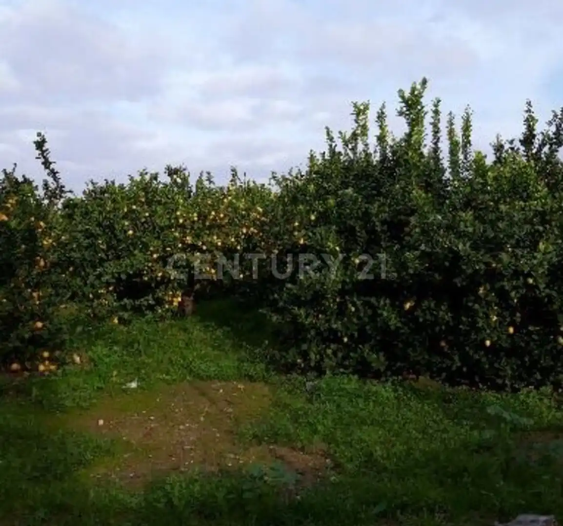 Terreno en venta en Camino de los Pinos, San José de la Vega