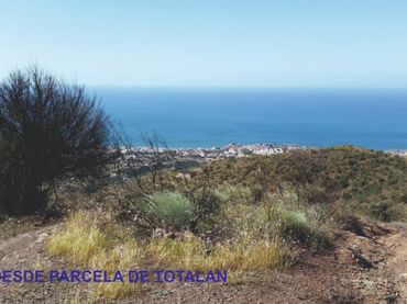 Terreny rústic en venda a Totalán