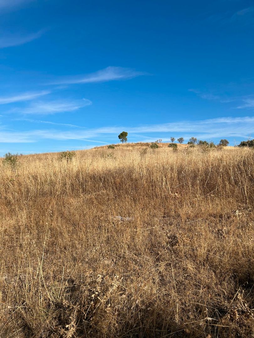 Terreno en venta en Aranjuez