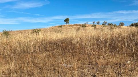 Foto 2 de Terreno en venta en Travesia de Rosales, La Montaña - El Cortijo, Aranjuez