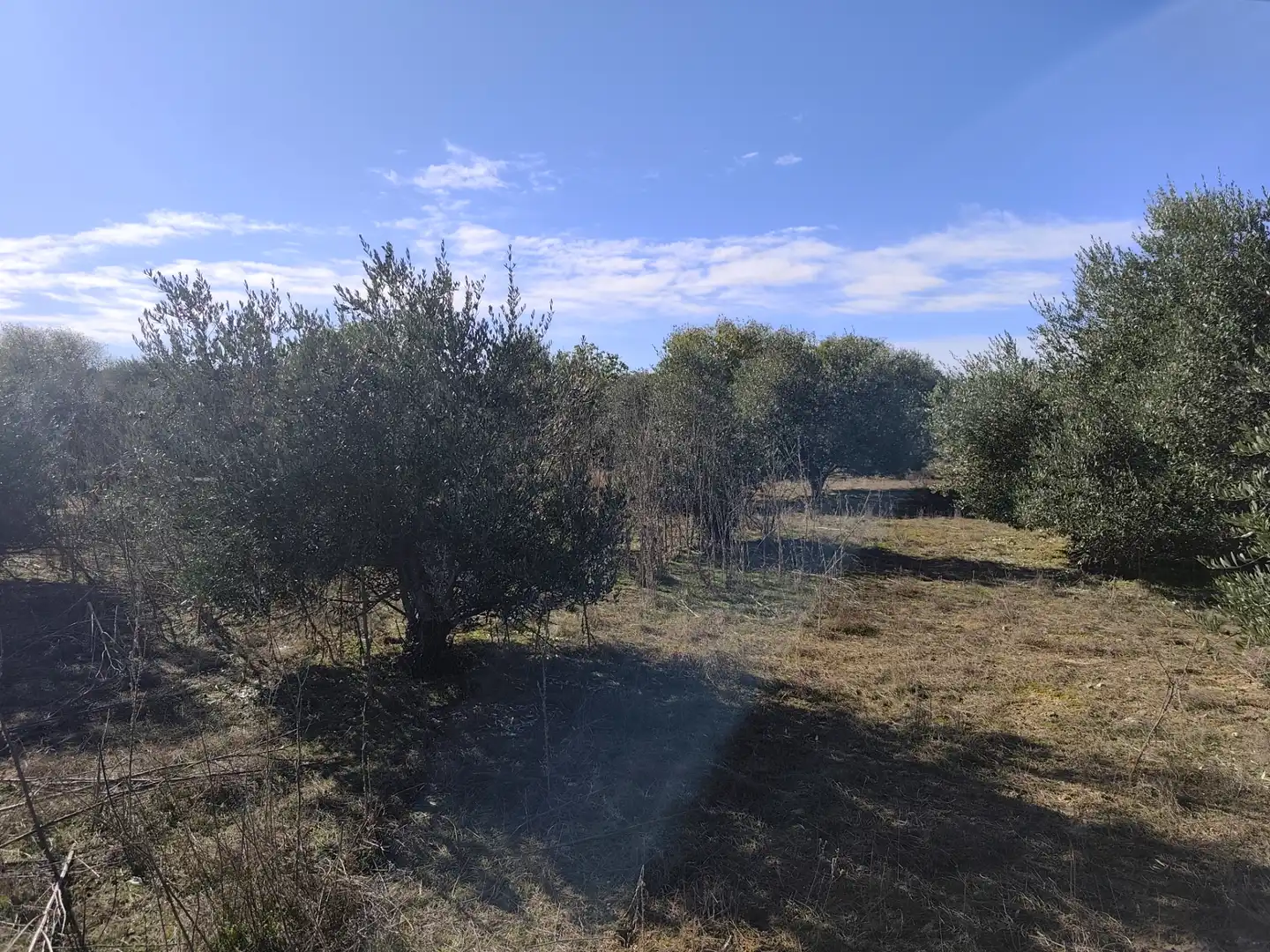 Terreny rústic en venda a Les Borges Blanques, imagen 18