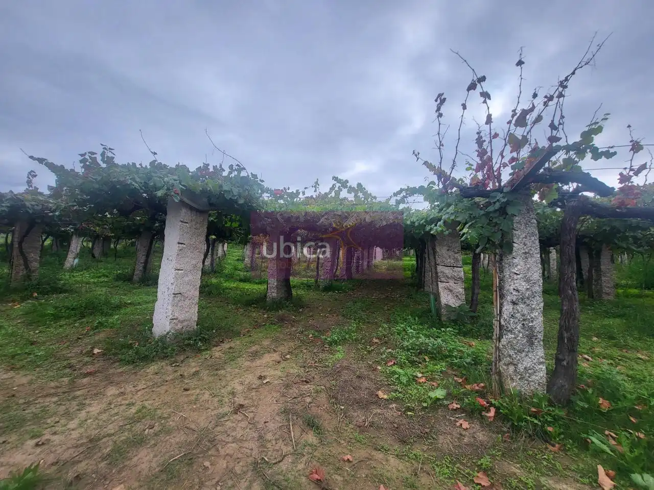 Residencial en venda en Salceda de Caselas, Pontevedra