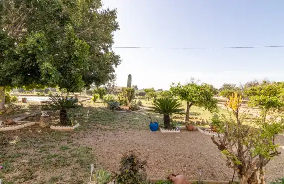 Jardí de Casa o xalet en venda en Elche / Elx amb Jardí privat, Terrassa i Piscina