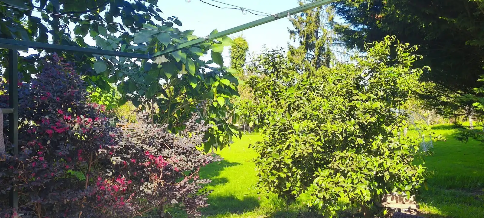 Casa en alquiler en Barreiras, imagen 21