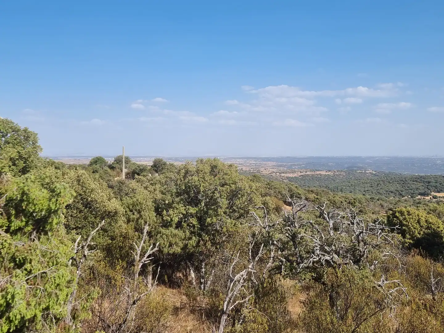 Land for sale in Colmenar Viejo
