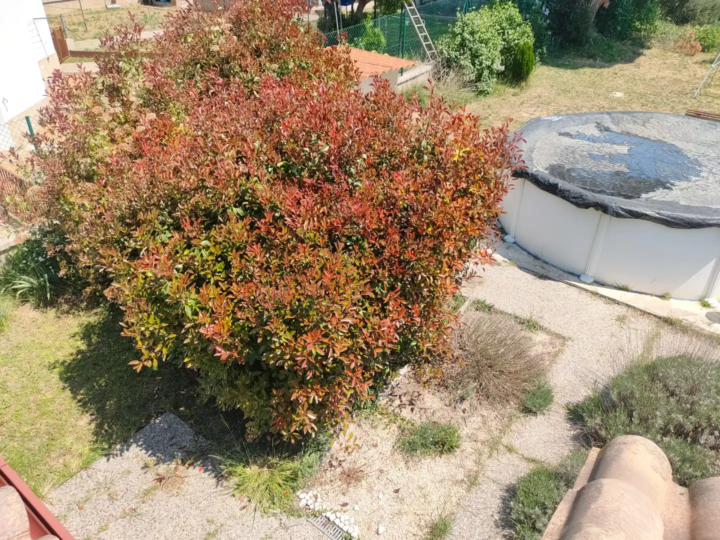 Jardí de Casa o xalet en venda en Caldes de Malavella amb Calefacció, Jardí privat i Terrassa