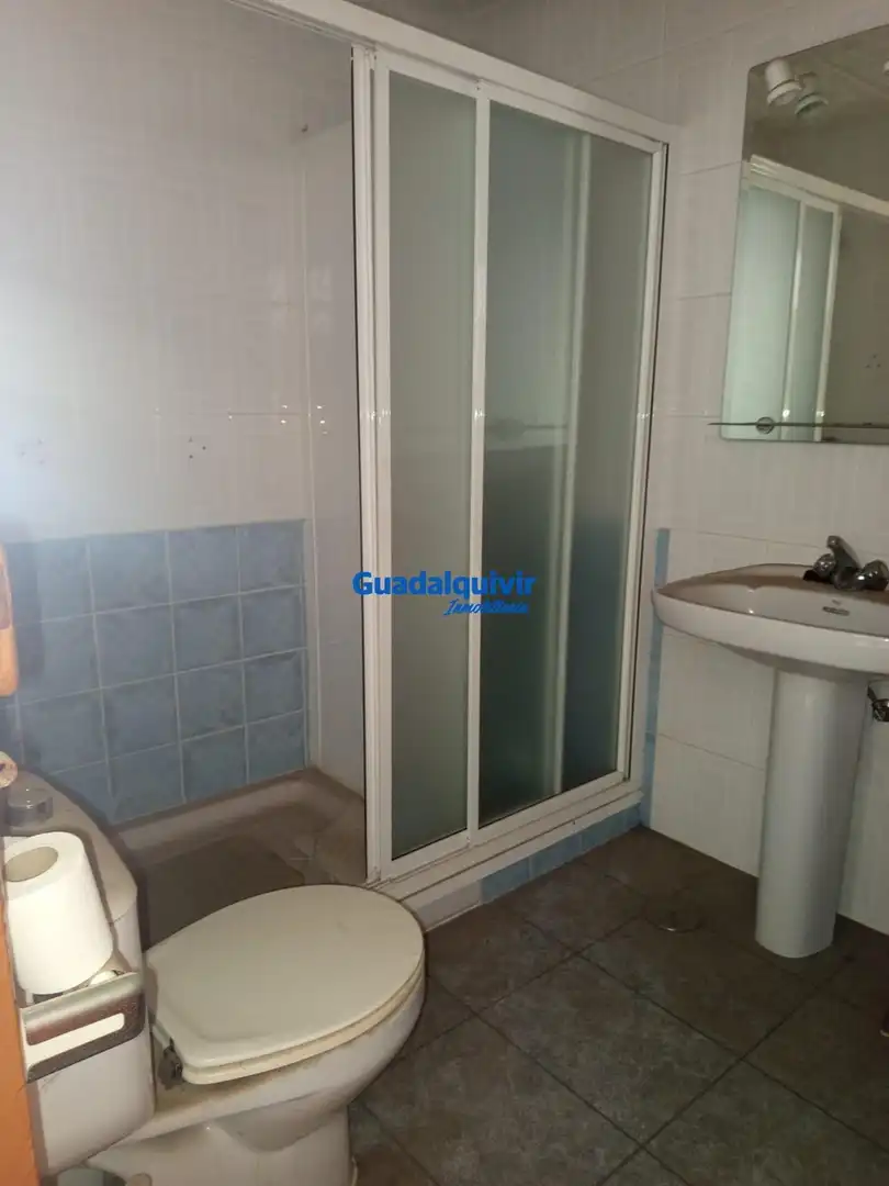 Bany de Casa o xalet en venda en Sevilla