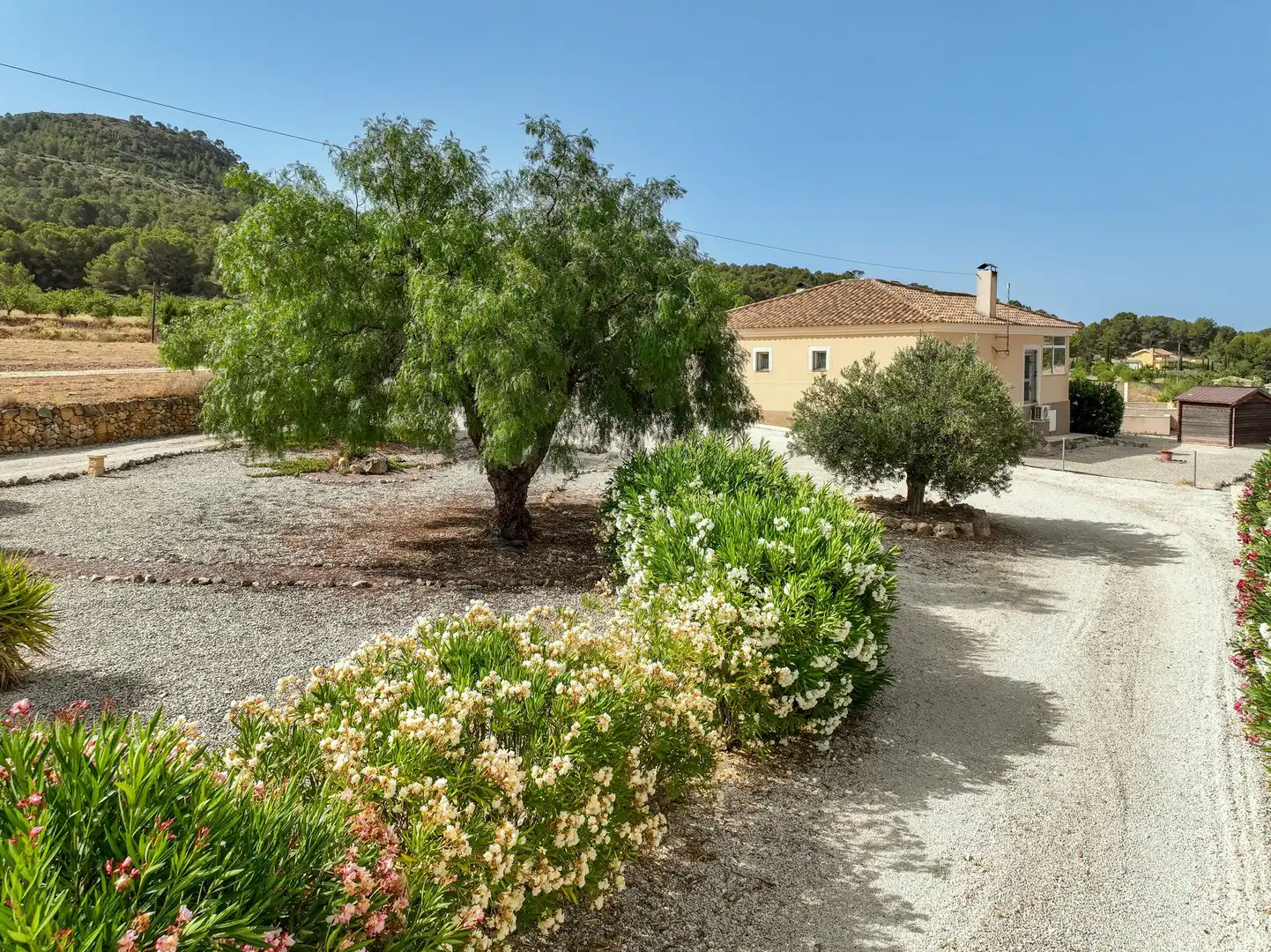 Haus zum Verkauf in El Pinós / Pinoso, imagen 4