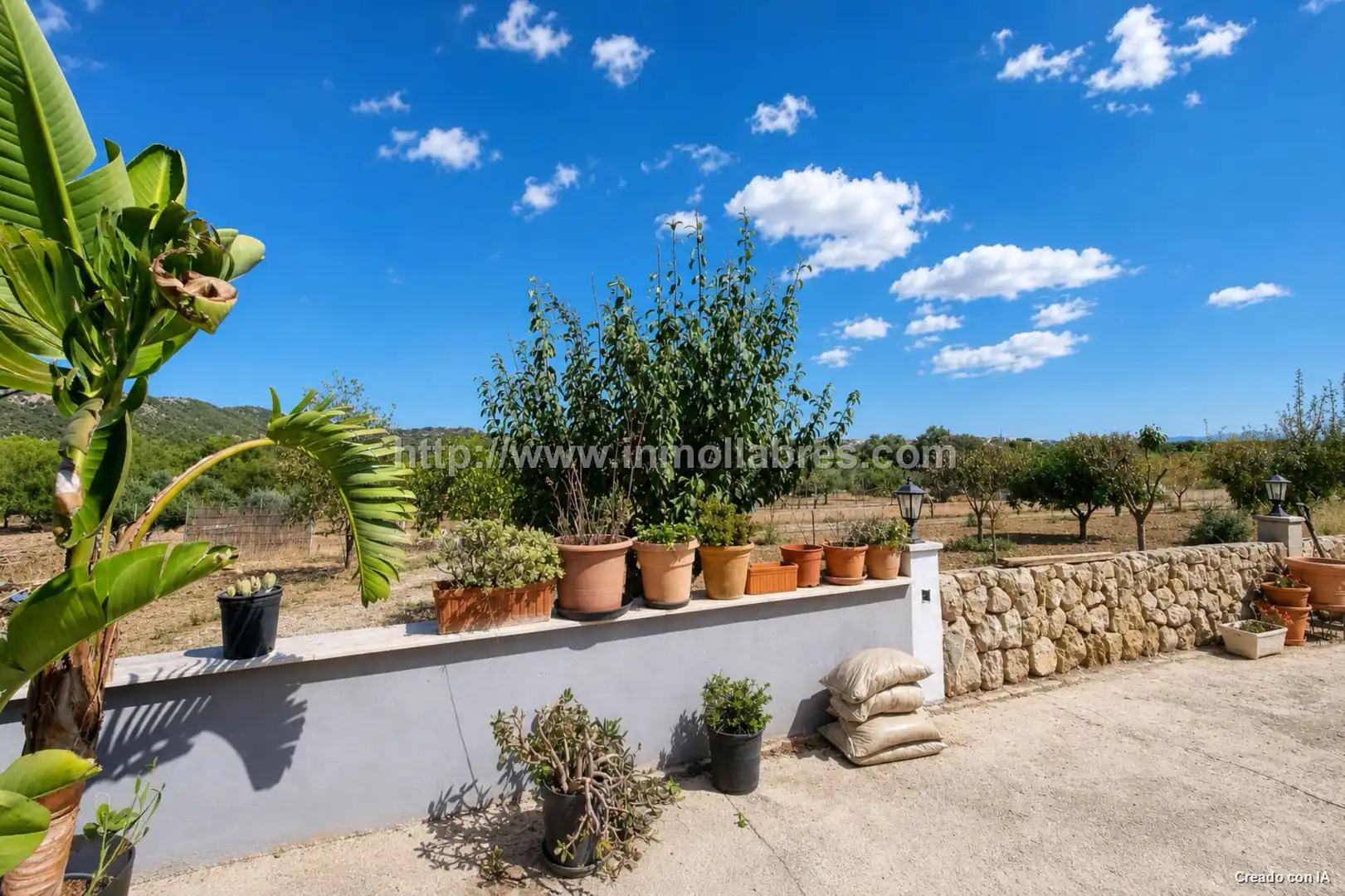 Casa rústica en venta en Selva, imagen 13