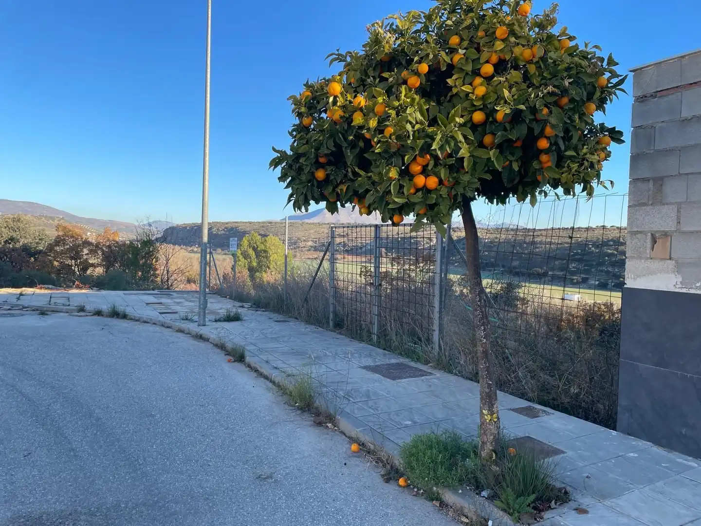Terreni e lotti in vendita a Atarfe, imagen 7