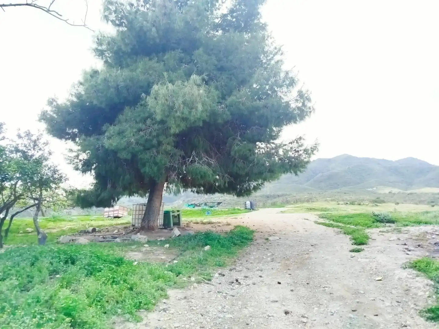 Finca rústica en venta en Mazarrón