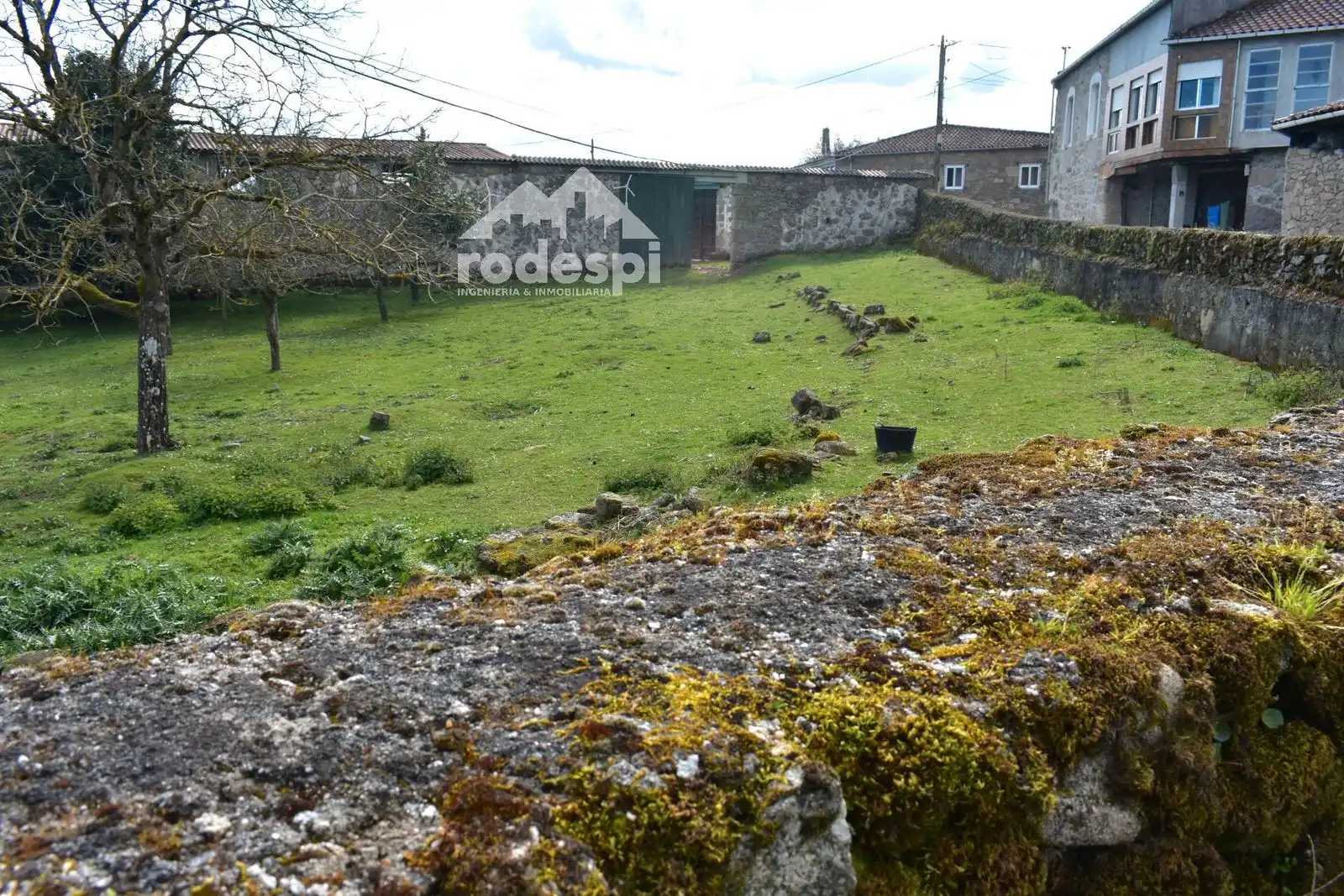 Buildings for sale in Pantón