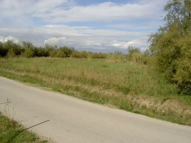 Rural land for sale in Sant Pere Pescador, imagen 58