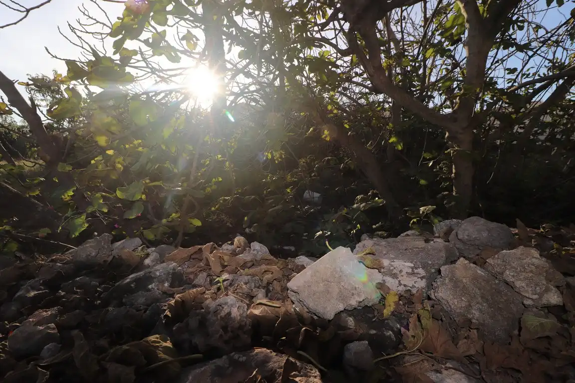 Residencial en venta en  Palma de Mallorca