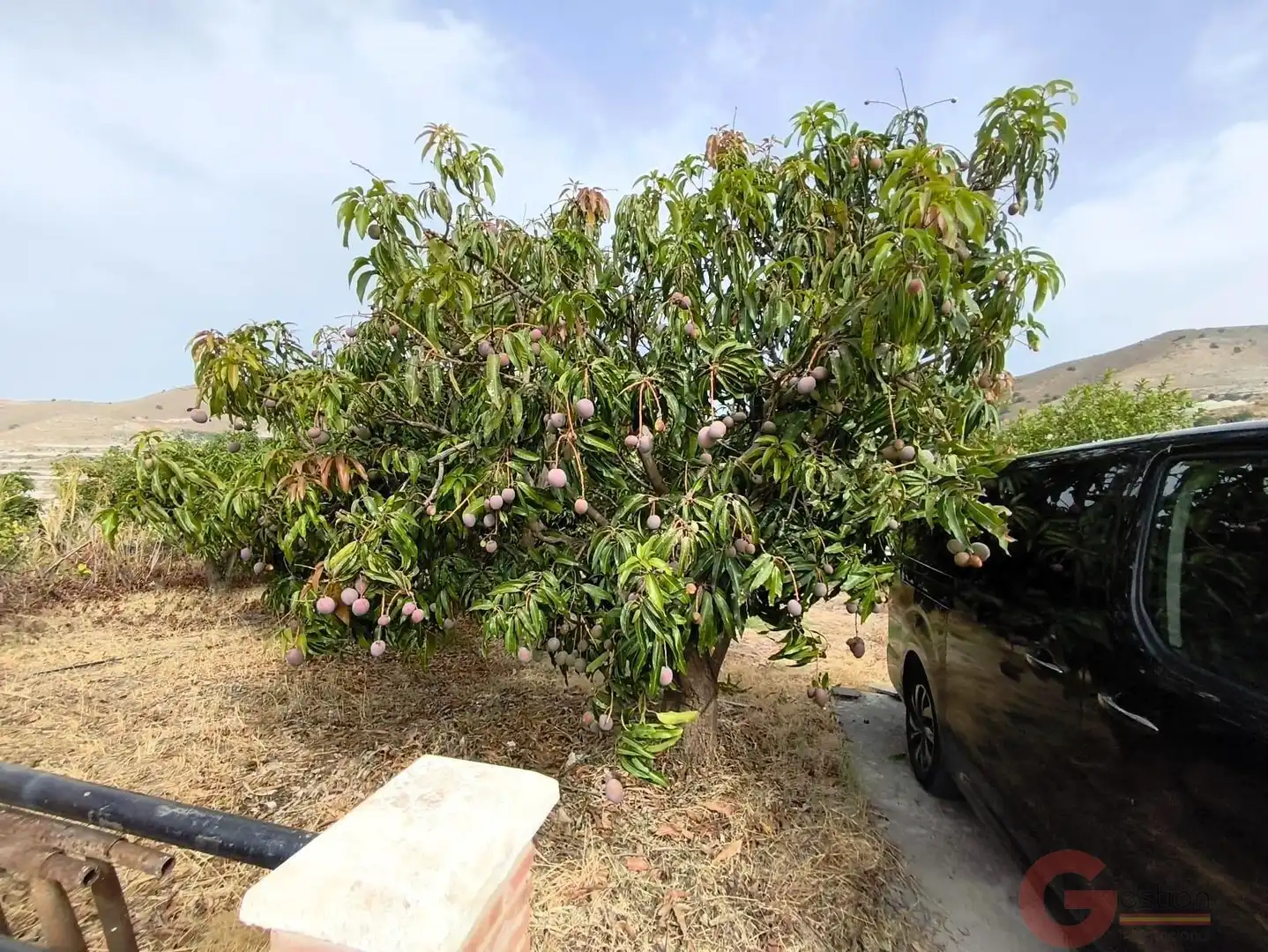 Jardí de Finca rústica en venda en Motril amb Terrassa i Piscina