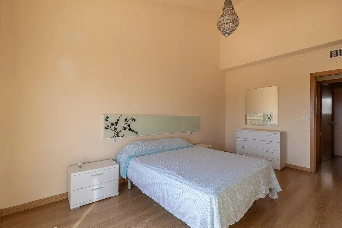 Maison avec piscine à vendre à Avenida CAÑADA DE LOS FENICIOS, imagen 12