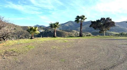 Foto 5 de Finca rústica en venda a Polígono Poligono, Sedella, Málaga