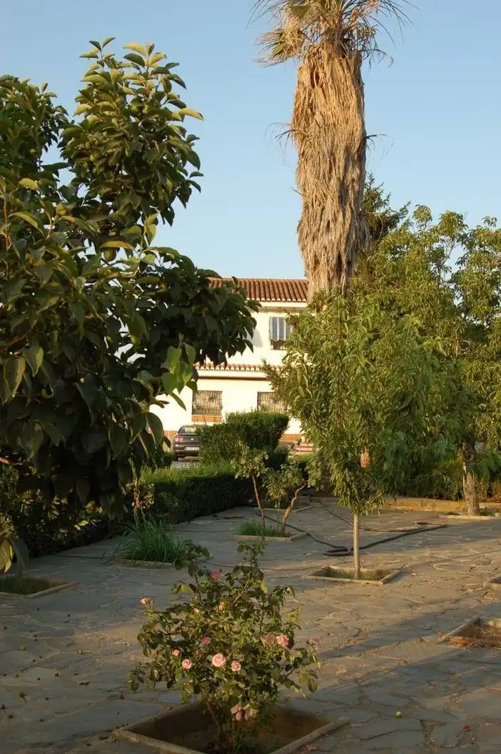 Jardín de Casa o chalet en venta en Guadix con Aire acondicionado, Calefacción y Jardín privado