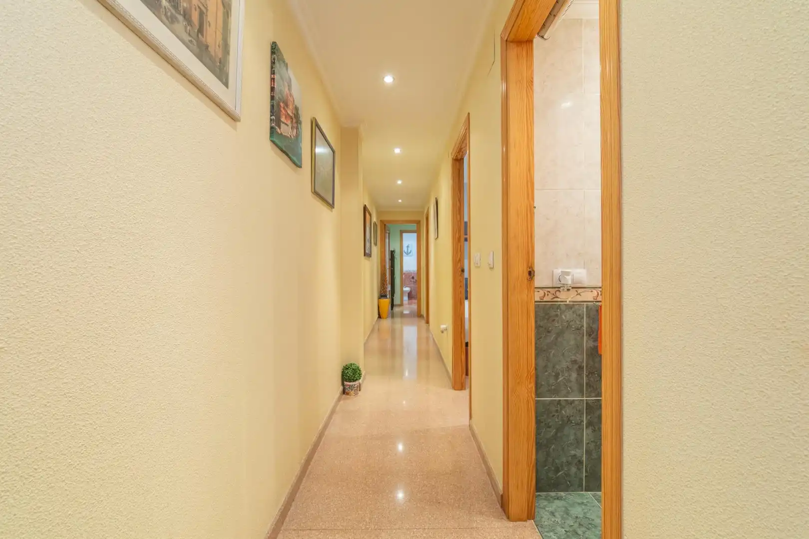 Piso en venta en Elche / Elx
