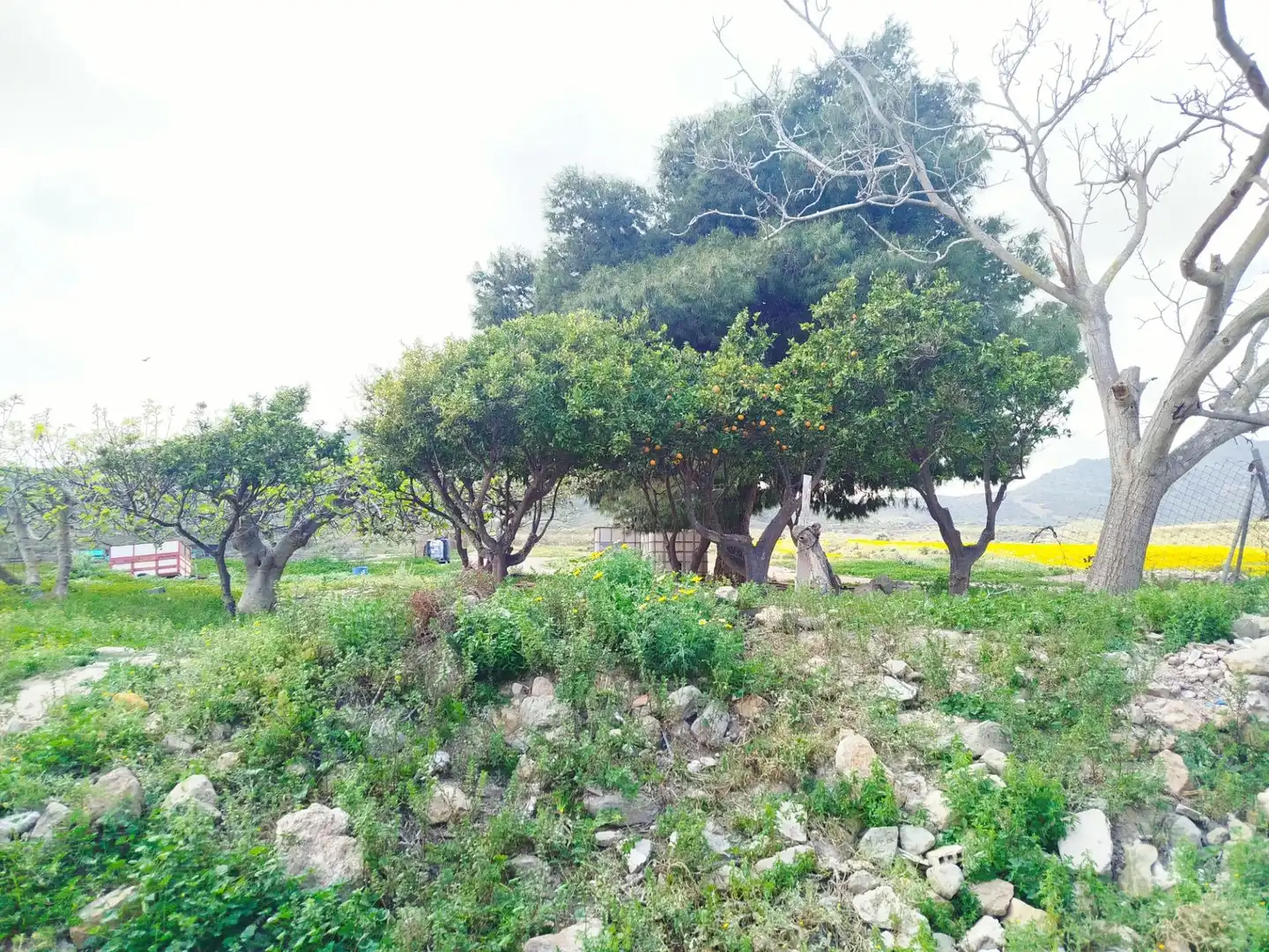 Finca rústica en venta en Mazarrón
