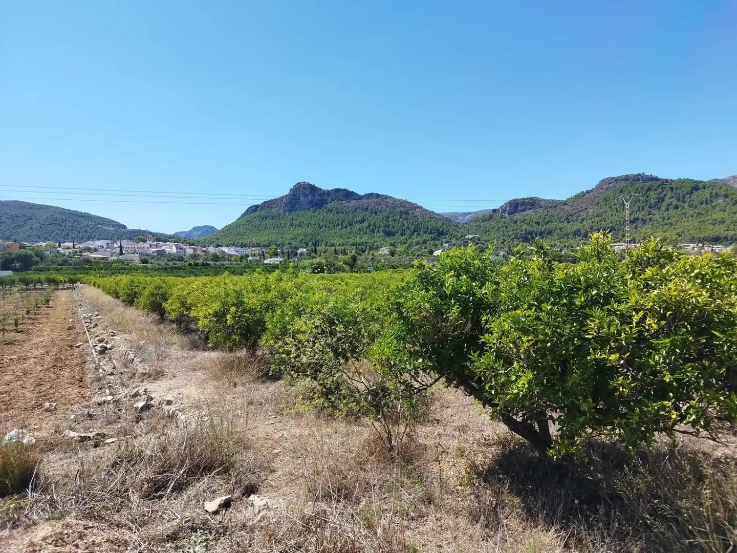 Terrenos y solares en venta en Orba, imagen 8